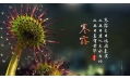 今日寒露 | 裊裊涼風(fēng)動，凄凄寒露零